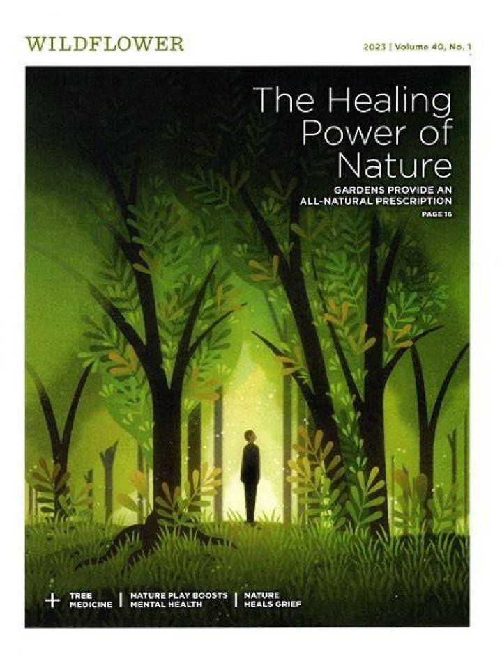 Discover The Revolutionary Healing Power Of Web Maps