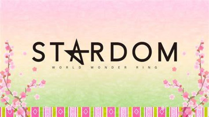 Her Incredible Journey To Stardom Unveiled