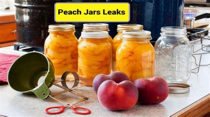 Insights Into "Peach Jars Only Fans Leaks"