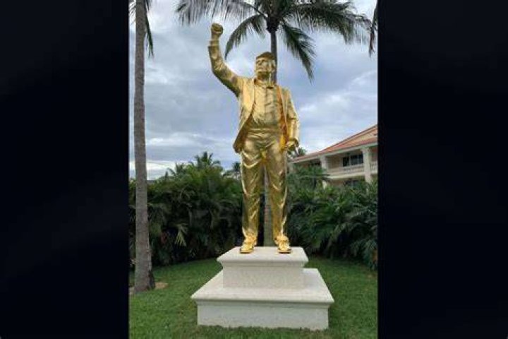 Unveiling The Enigmatic Actress's Towering Stature