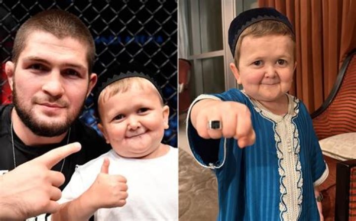 Unveiling The Private Life Of Hasbulla Magomedov: Marriage, Relationships, And More