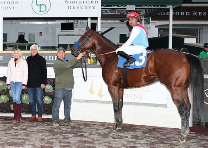 Unveiling The Secrets Of Horse Training With Jill Baffert